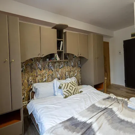 Cozy Retreat - Quiet, Premium Apartman Temesvár
